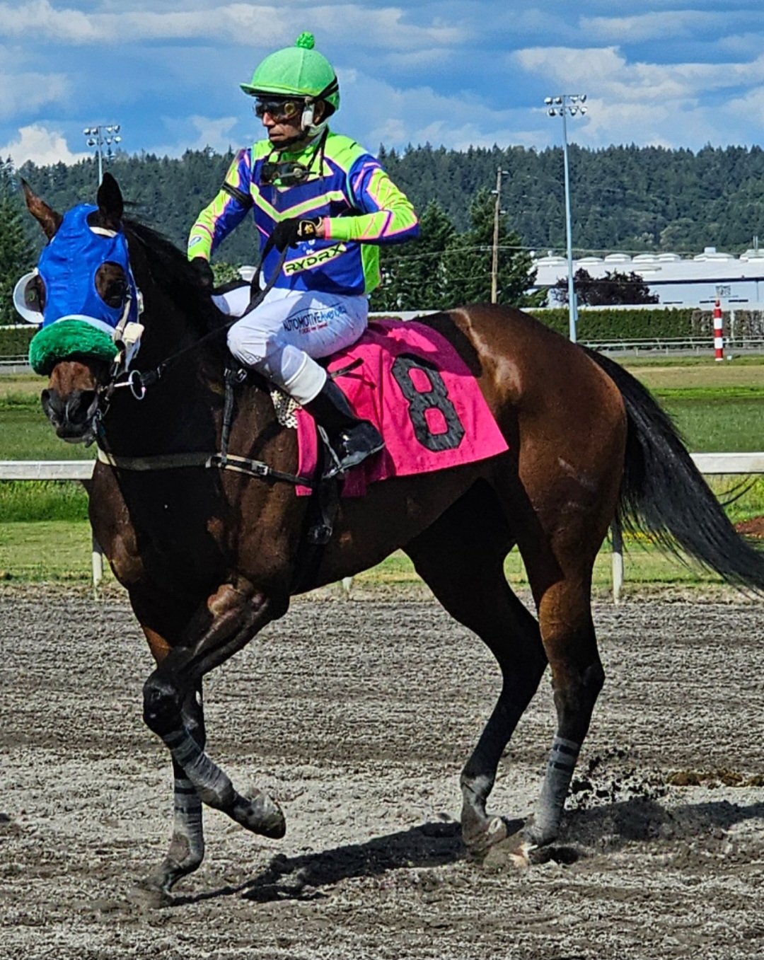 Rydrx on horse