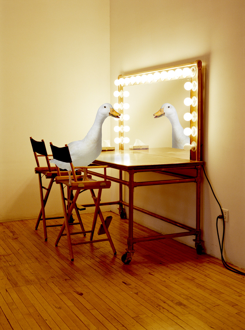 Aflac Commercial Storyboard